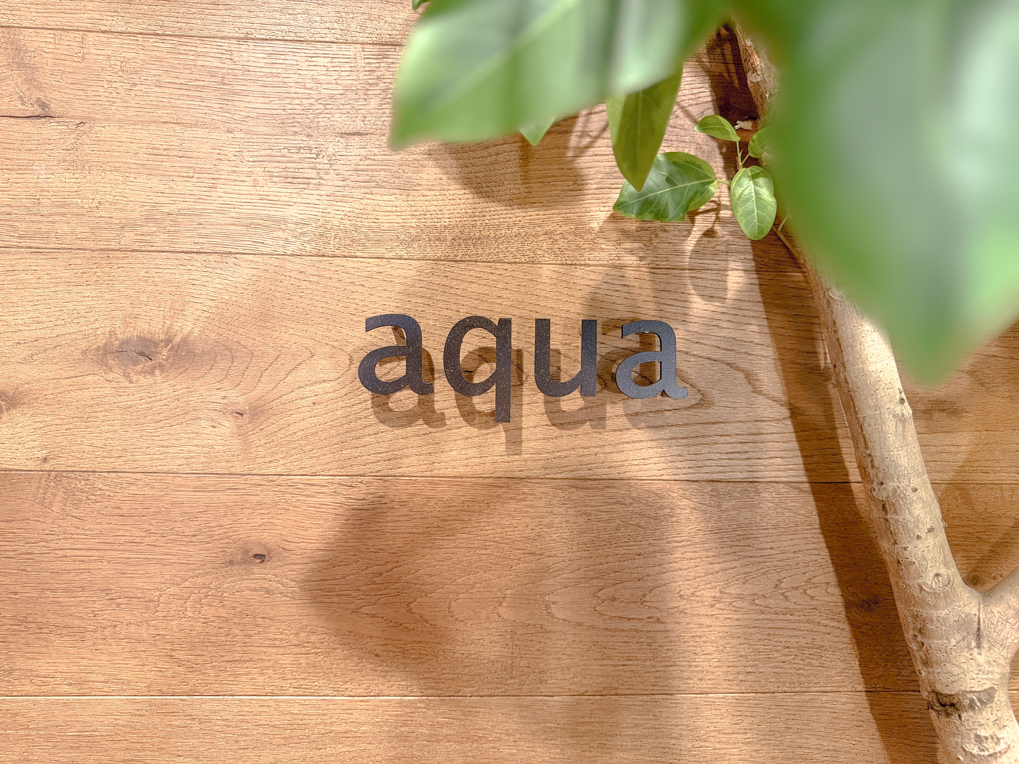 aqua